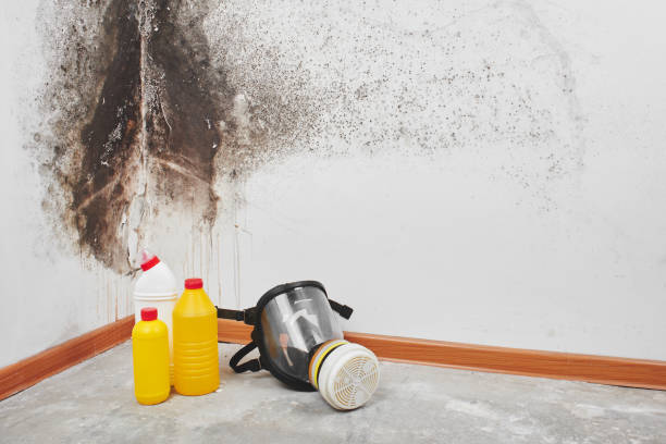 Best Mold Testing  in Tracy, MN