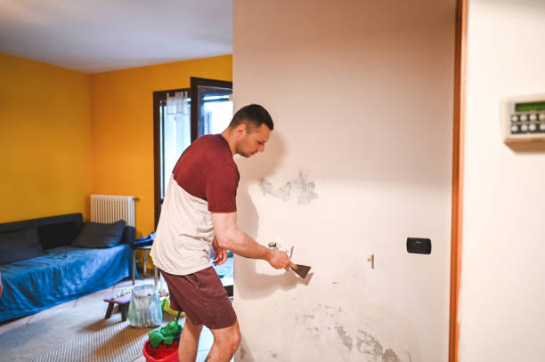 Best Local Mold Removal Service  in Tracy, MN